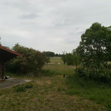 New Home Langendorf  Kültér fotó